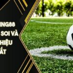 Kèo Gốc KING88 Là Gì? Cách Soi Và Đặt Cược Hiệu Quả Nhất
